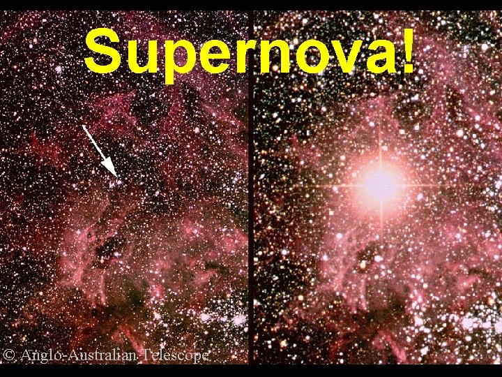 Supernova! © Anglo-Australian Telescope 