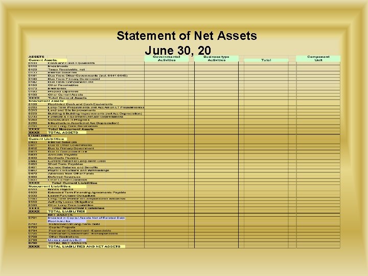 Statement of Net Assets June 30, 20_ _ 