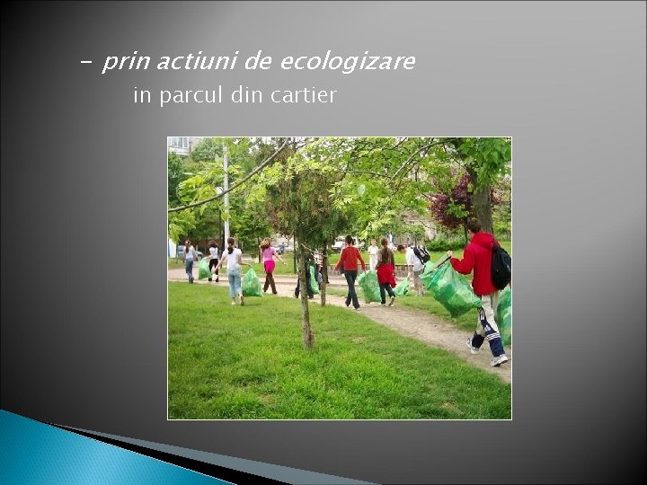 - prin actiuni de ecologizare in parcul din cartier 