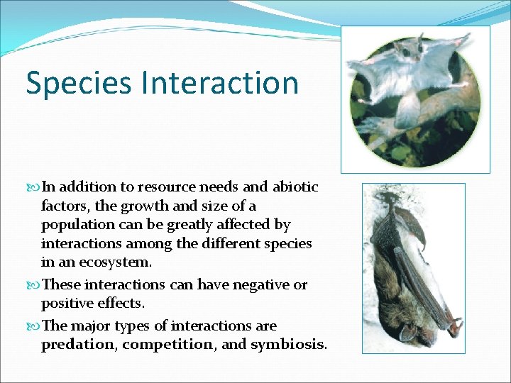 Species Interaction In addition to resource needs and abiotic factors, the growth and size