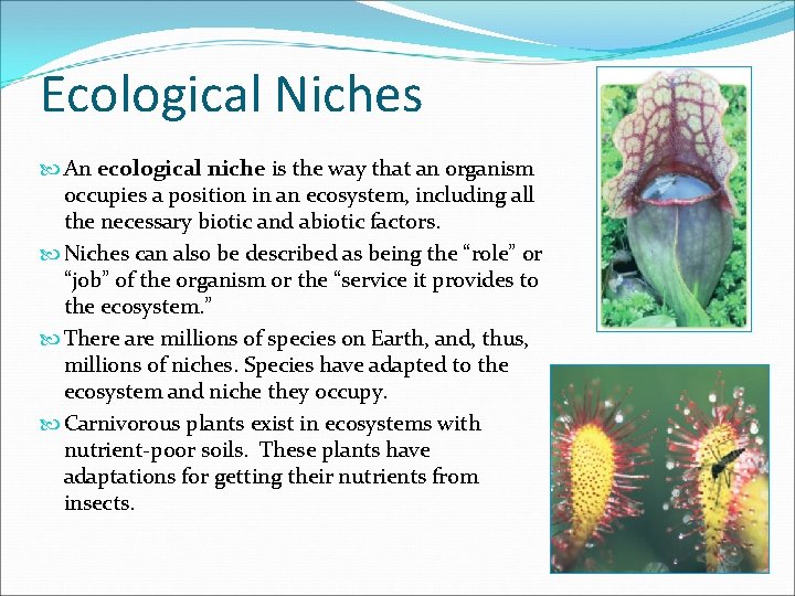 Ecological Niches An ecological niche is the way that an organism occupies a position