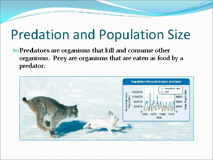 Predation and Population Size Predators are organisms that kill and consume other organisms. Prey