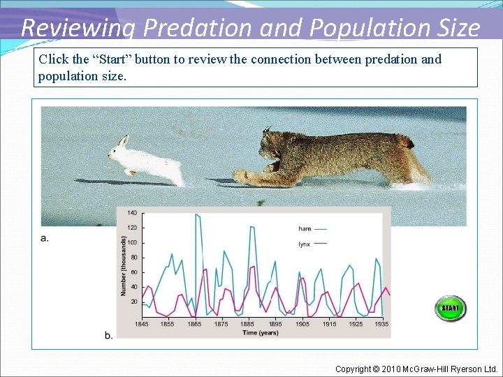 Reviewing Predation and Population Size Click the “Start” button to review the connection between