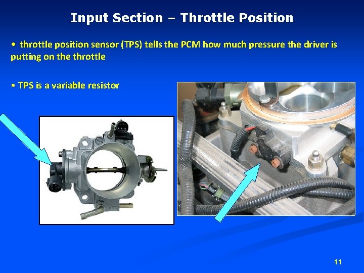 Input Section – Throttle Position • throttle position sensor (TPS) tells the PCM how Input Section – Throttle Position • throttle position sensor (TPS) tells the PCM how