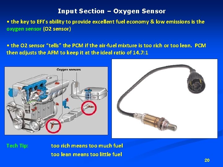 Input Section – Oxygen Sensor • the key to EFI’s ability to provide excellent Input Section – Oxygen Sensor • the key to EFI’s ability to provide excellent