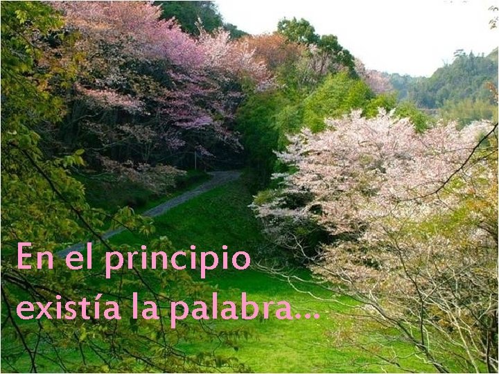 En el principio existía la palabra… 