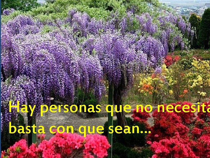 Hay personas que no necesita basta con que sean… 