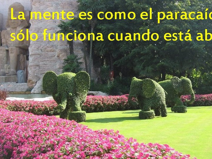 La mente es como el paracaíd sólo funciona cuando está ab 