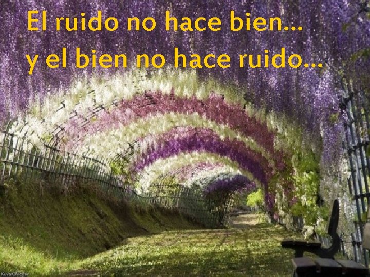 El ruido no hace bien… y el bien no hace ruido… 