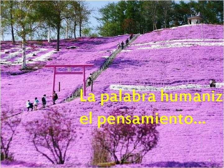 La palabra humaniza el pensamiento… 5 