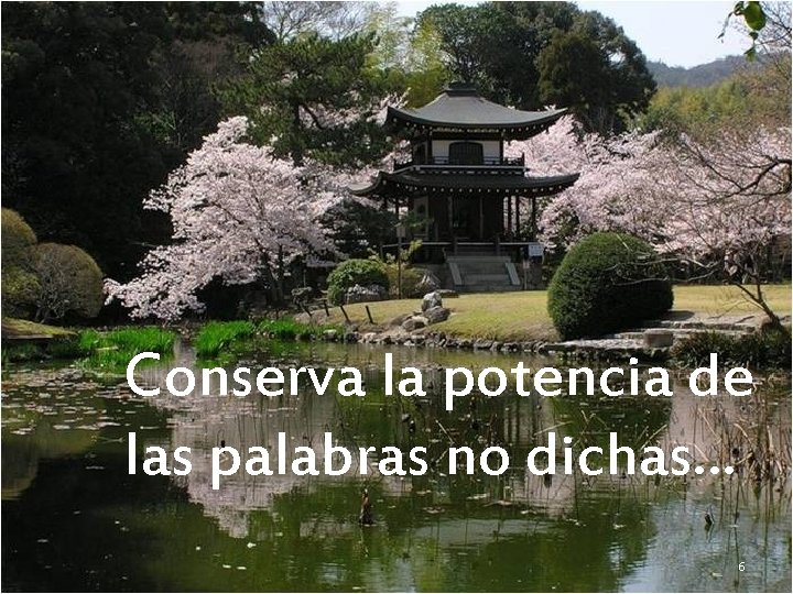 Conserva la potencia de las palabras no dichas… 6 