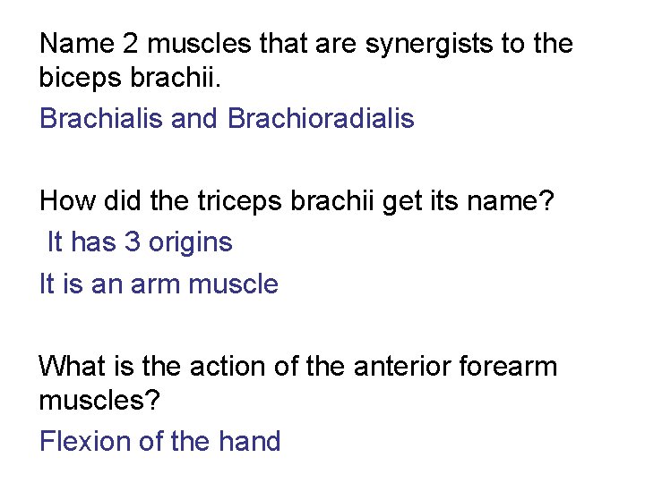 Name 2 muscles that are synergists to the biceps brachii. Brachialis and Brachioradialis How
