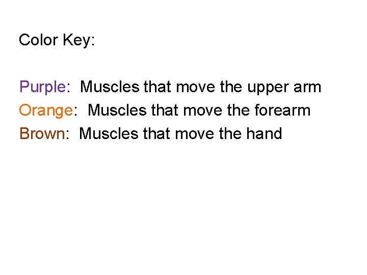 Color Key: Purple: Muscles that move the upper arm Orange: Muscles that move the