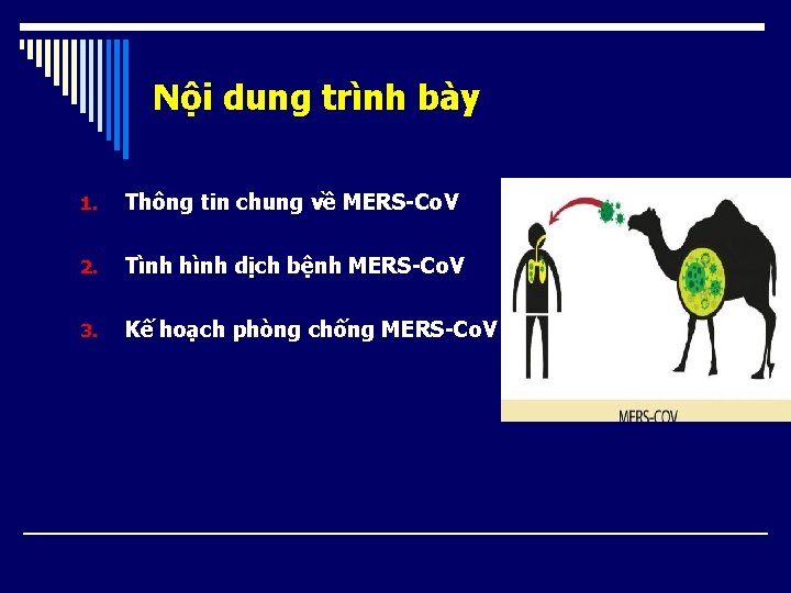 Nội dung trình bày 1. Thông tin chung về MERS-Co. V 2. Tình hình