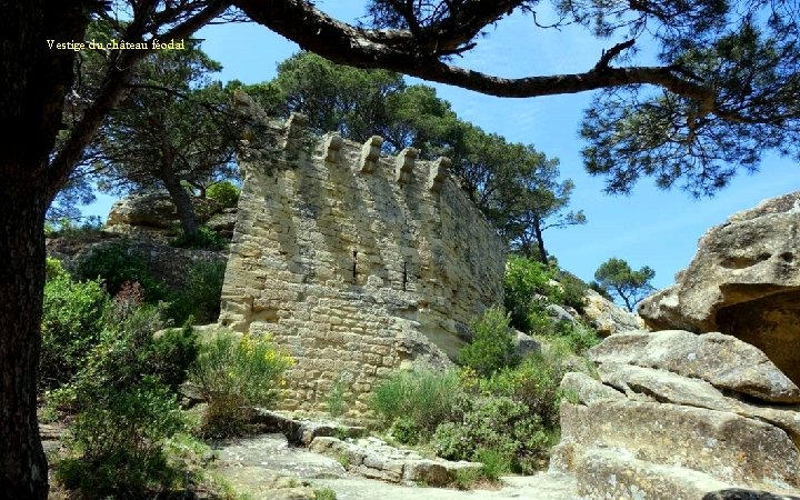 Vestige du château féodal 