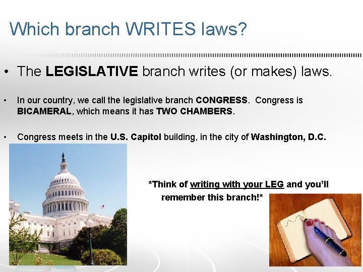 Which branch WRITES laws? • The LEGISLATIVE branch writes (or makes) laws. • In