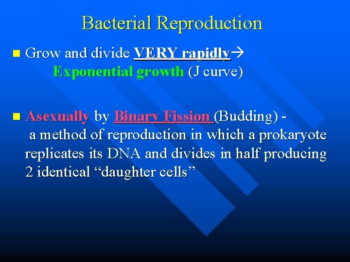 Bacterial Reproduction n Grow and divide VERY rapidly Exponential growth (J curve) n Asexually