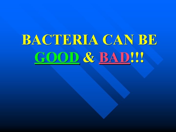 BACTERIA CAN BE GOOD & BAD!!! 