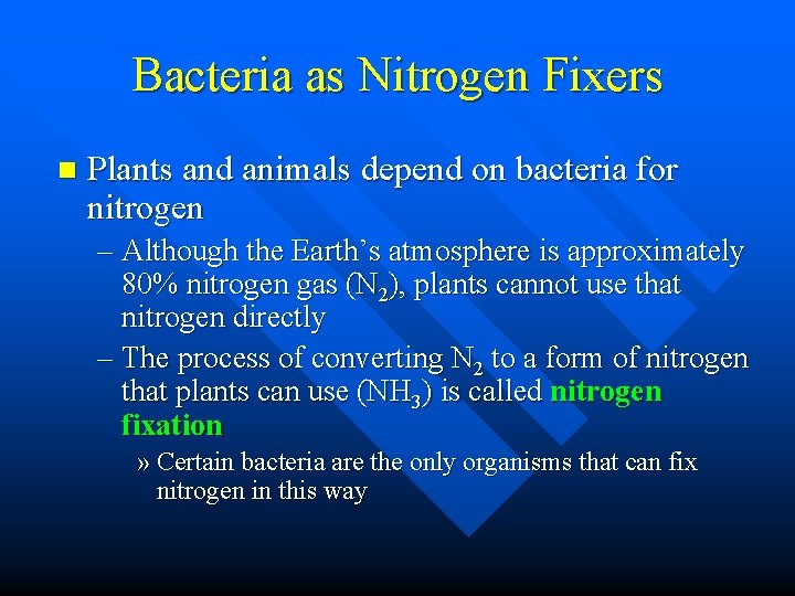 Bacteria as Nitrogen Fixers n Plants and animals depend on bacteria for nitrogen –