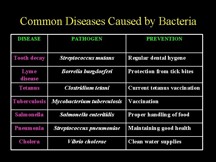 Common Diseases Caused by Bacteria DISEASE PATHOGEN Tooth decay Streptococcus mutans Regular dental hygene