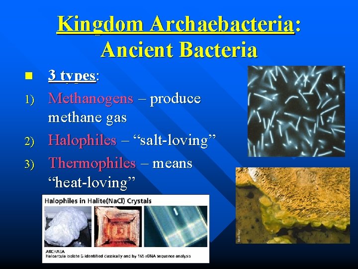Kingdom Archaebacteria: Ancient Bacteria n 1) 2) 3) 3 types: Methanogens – produce methane