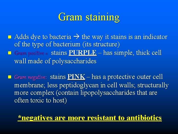 Gram staining n n n Adds dye to bacteria the way it stains is