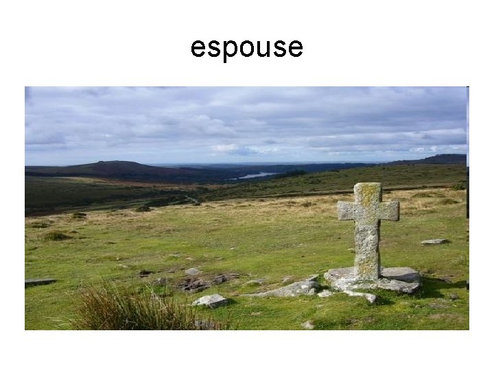 espouse 
