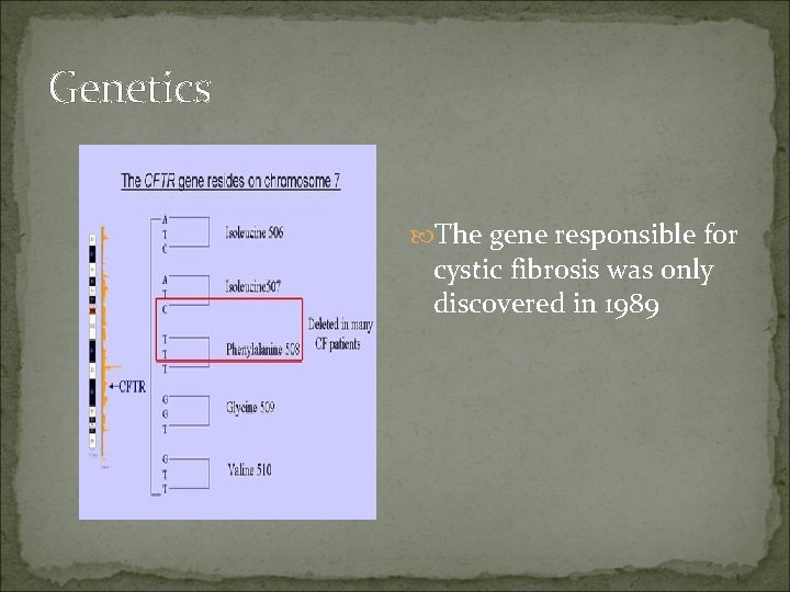 Genetics The gene responsible for cystic fibrosis was only discovered in 1989 