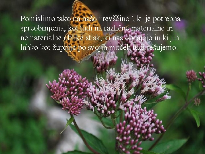 Pomislimo tako na našo “revščino”, ki je potrebna spreobrnjenja, kot tudi na različne materialne