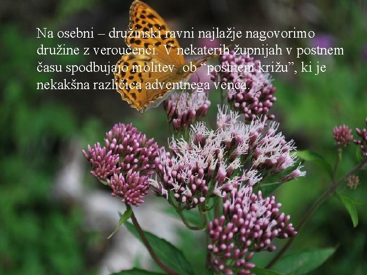 Na osebni – družinski ravni najlažje nagovorimo družine z veroučenci. V nekaterih župnijah v