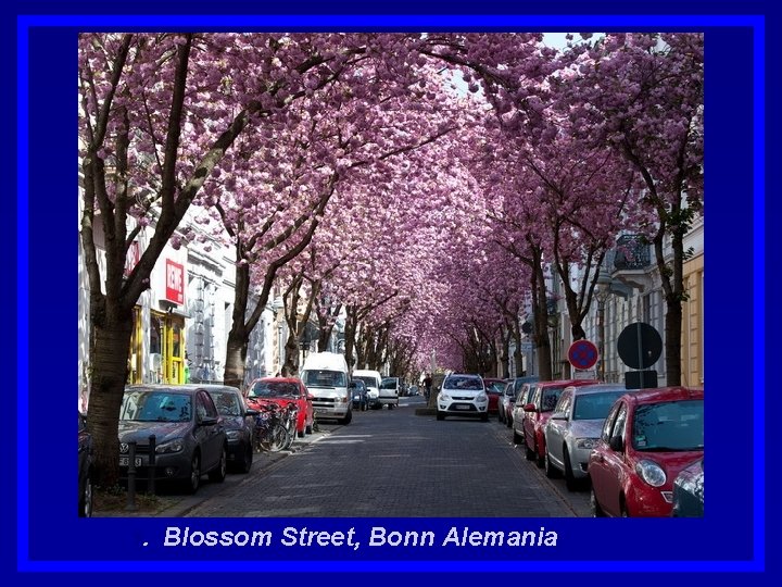 1. Blossom Street, Bonn Alemania. 