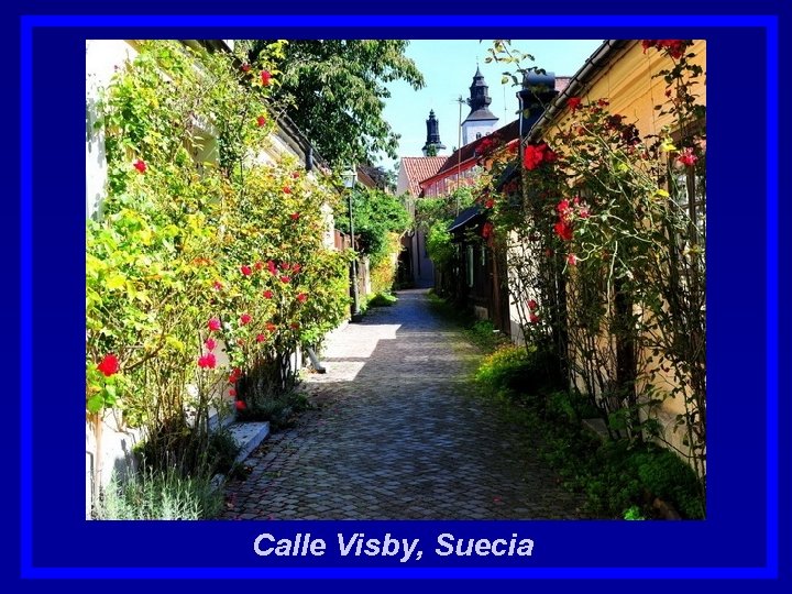 Calle Visby, Suecia 