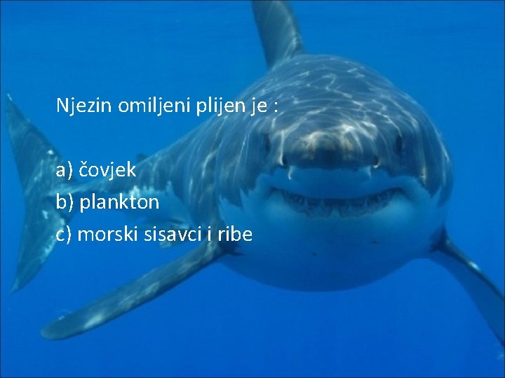 Njezin omiljeni plijen je : a) čovjek b) plankton c) morski sisavci i ribe