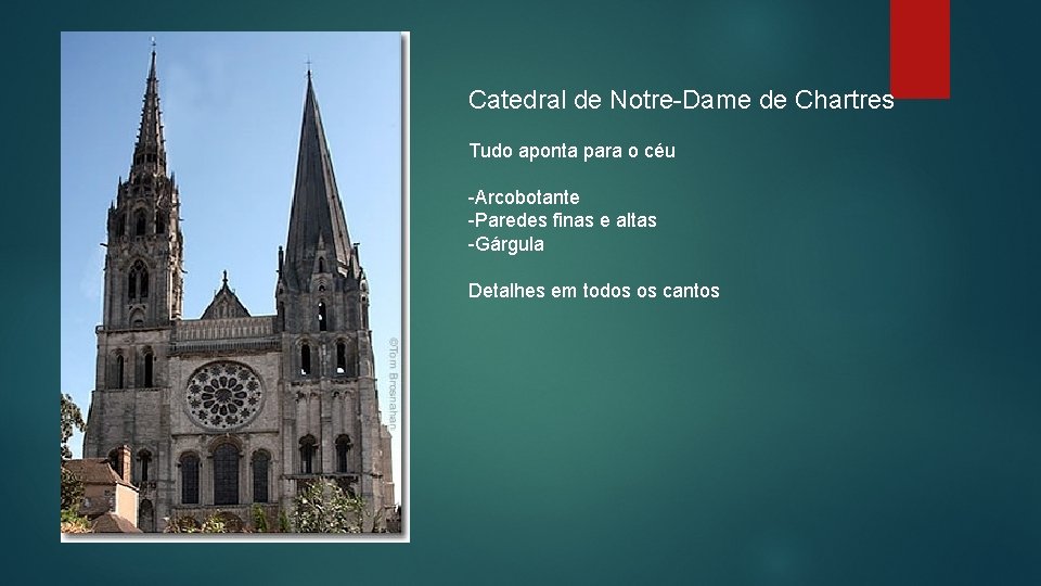 Catedral de Notre-Dame de Chartres Tudo aponta para o céu -Arcobotante -Paredes finas e