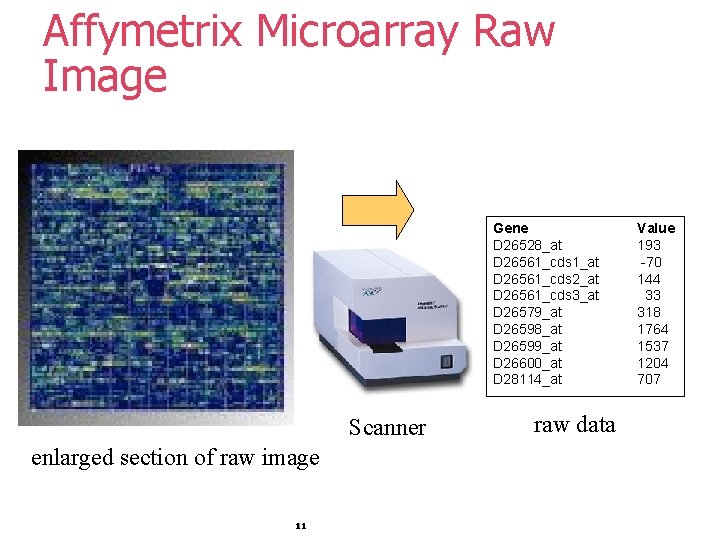 Affymetrix Microarray Raw Image Gene D 26528_at D 26561_cds 1_at D 26561_cds 2_at D Affymetrix Microarray Raw Image Gene D 26528_at D 26561_cds 1_at D 26561_cds 2_at D