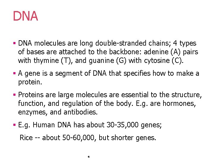 DNA § DNA molecules are long double-stranded chains; 4 types of bases are attached DNA § DNA molecules are long double-stranded chains; 4 types of bases are attached