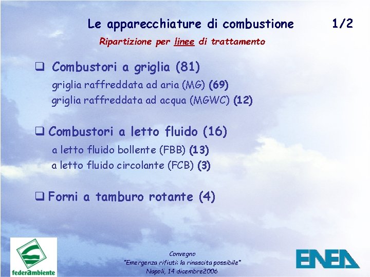 Le apparecchiature di combustione Ripartizione per linee di trattamento q Combustori a griglia (81)