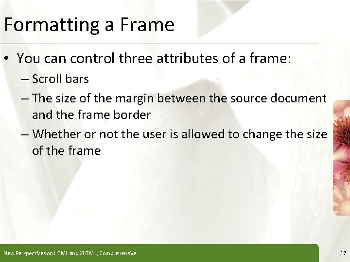 Formatting a Frame XP • You can control three attributes of a frame: –