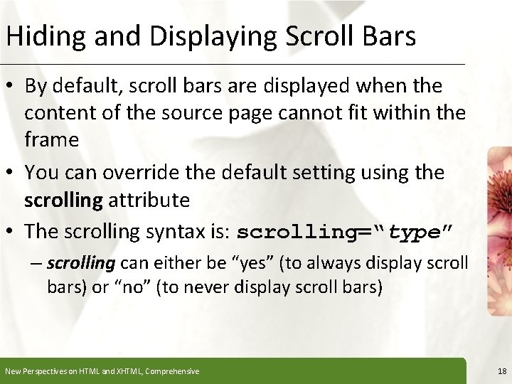 Hiding and Displaying Scroll Bars XP • By default, scroll bars are displayed when