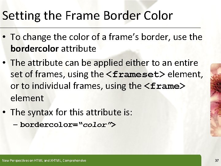 Setting the Frame Border Color XP • To change the color of a frame’s