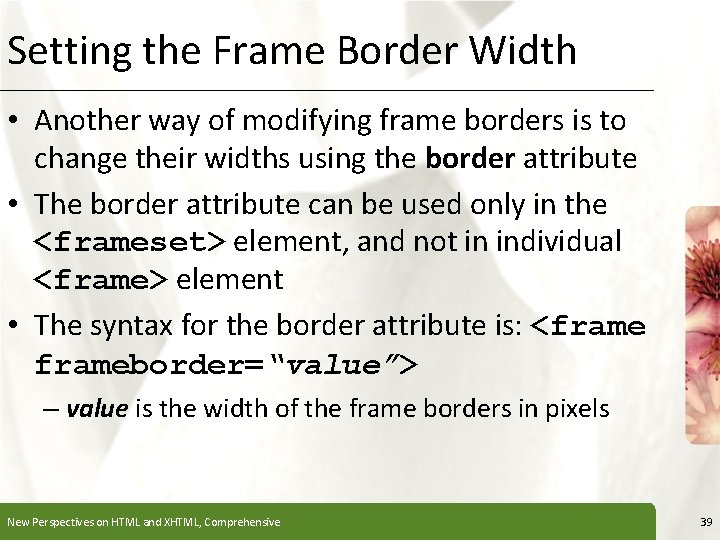Setting the Frame Border Width XP • Another way of modifying frame borders is