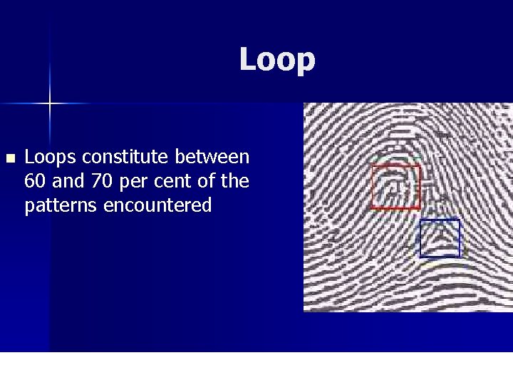 Loop n Loops constitute between 60 and 70 per cent of the patterns encountered.