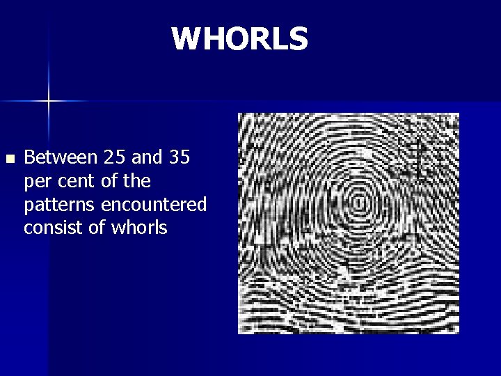 WHORLS n Between 25 and 35 per cent of the patterns encountered consist of