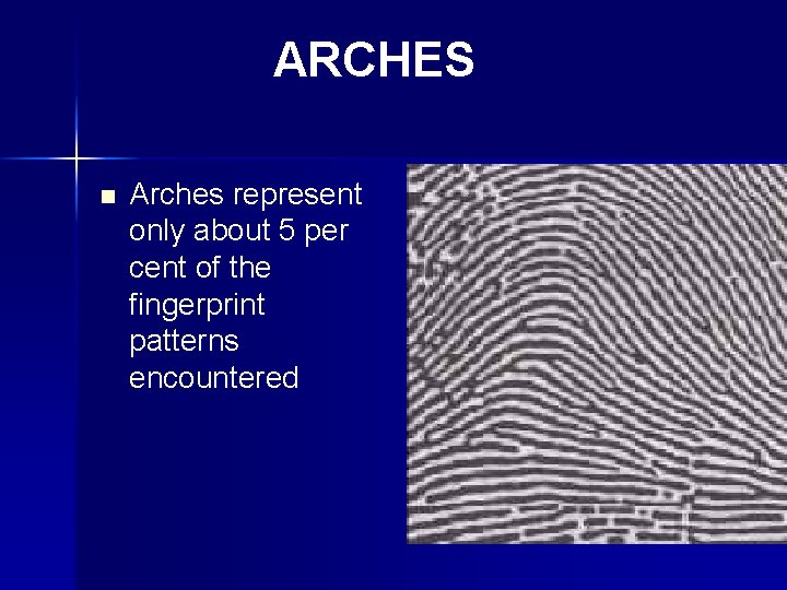 ARCHES n Arches represent only about 5 per cent of the fingerprint patterns encountered