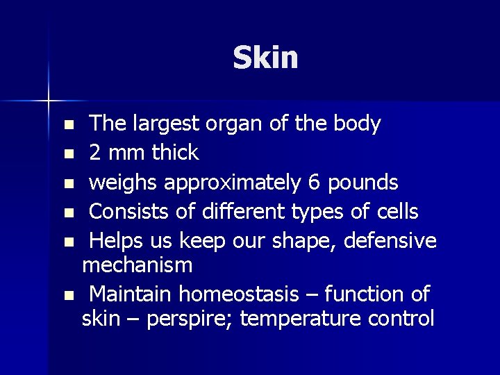 Skin The largest organ of the body n 2 mm thick n weighs approximately