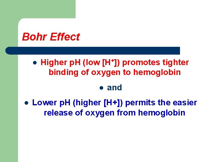 Bohr Effect l Higher p. H (low [H+]) promotes tighter binding of oxygen to