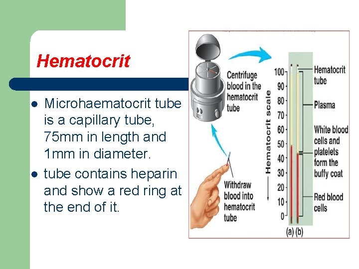 Hematocrit l l Microhaematocrit tube is a capillary tube, 75 mm in length and