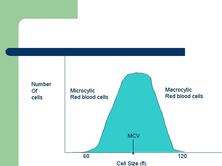 Number Of cells Macrocytic Red blood cells Microcytic Red blood cells MCV 60 120