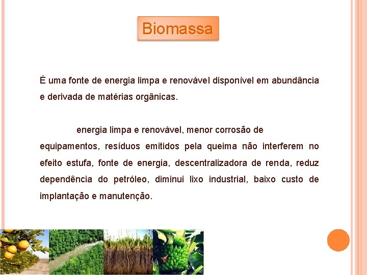 Biomassa É uma fonte de energia limpa e renovável disponível em abundância e derivada