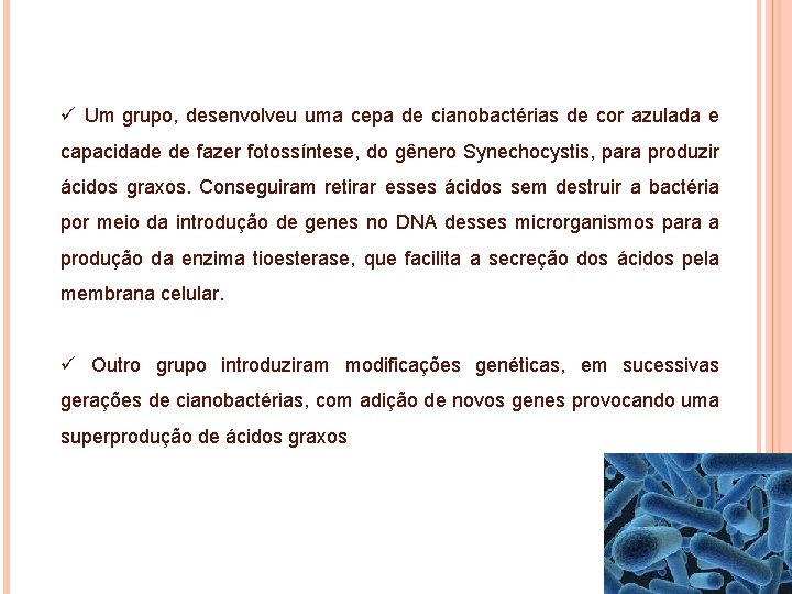 ü Um grupo, desenvolveu uma cepa de cianobactérias de cor azulada e capacidade de